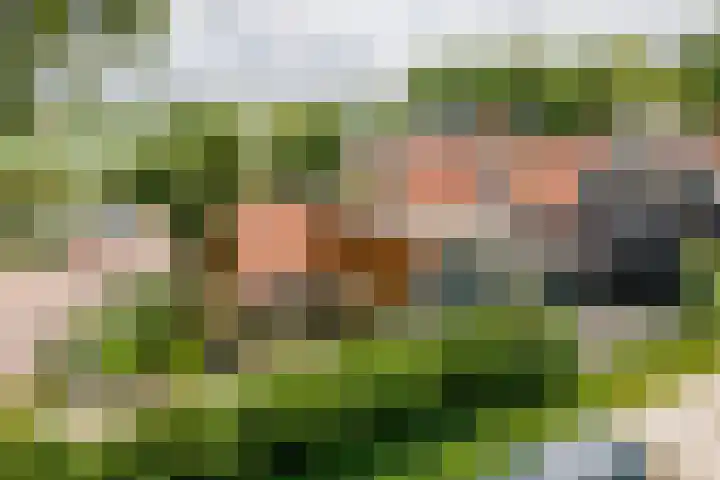 Dorpsweg 27 Idsegahuizum thumbnail 30