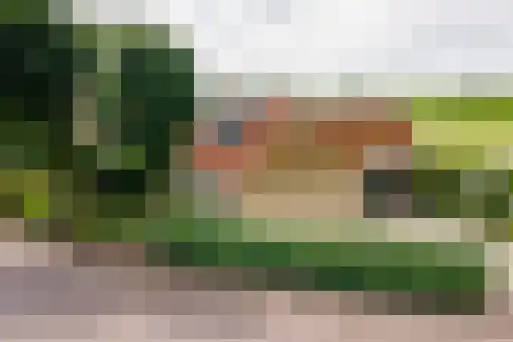 Dorpsweg 27 Idsegahuizum thumbnail 31