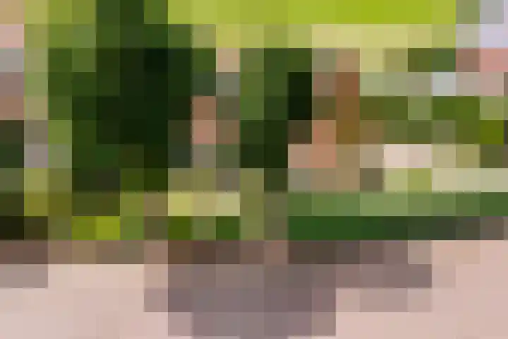 Dorpsweg 27 Idsegahuizum thumbnail 32