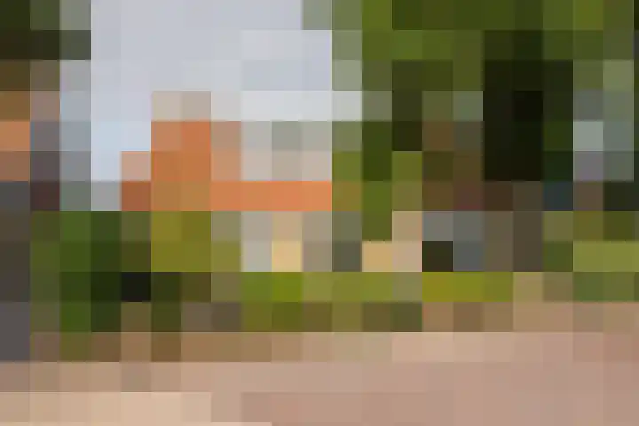 Dorpsweg 27 Idsegahuizum thumbnail 35