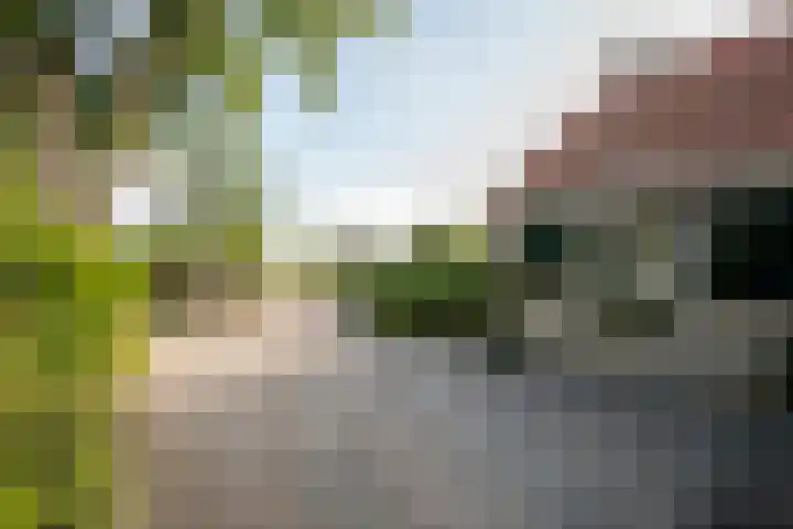 Dorpsweg 27 Idsegahuizum thumbnail 4