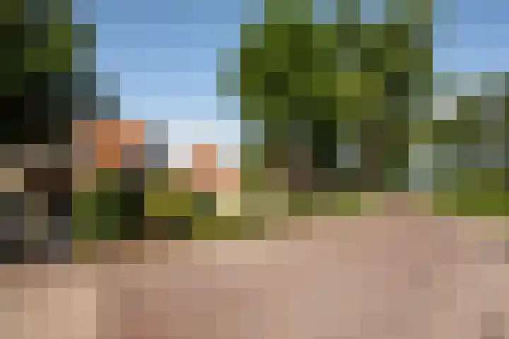 Dorpsweg 27 Idsegahuizum thumbnail 5