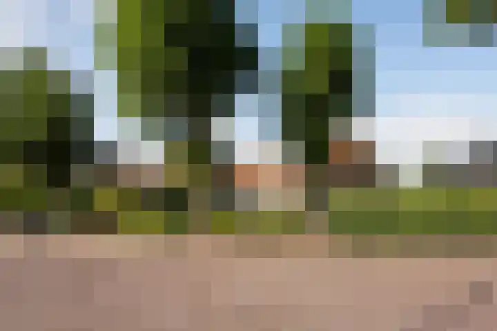 Dorpsweg 27 Idsegahuizum thumbnail 6