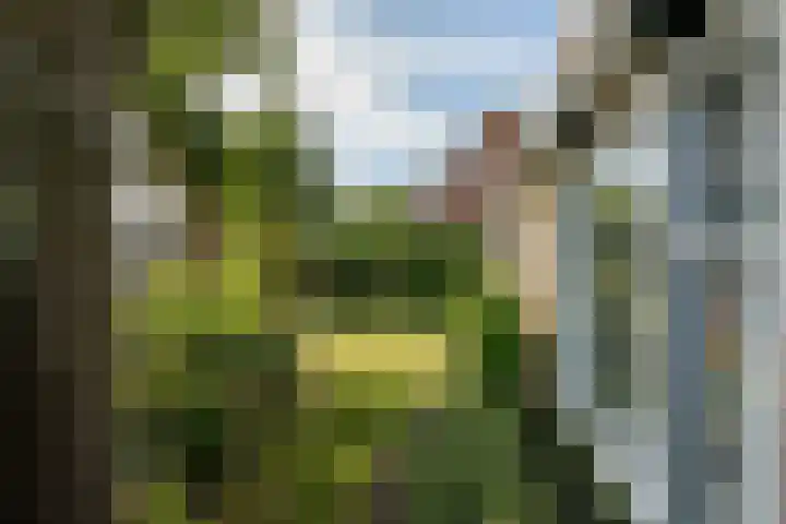 Dorpsweg 27 Idsegahuizum thumbnail 7