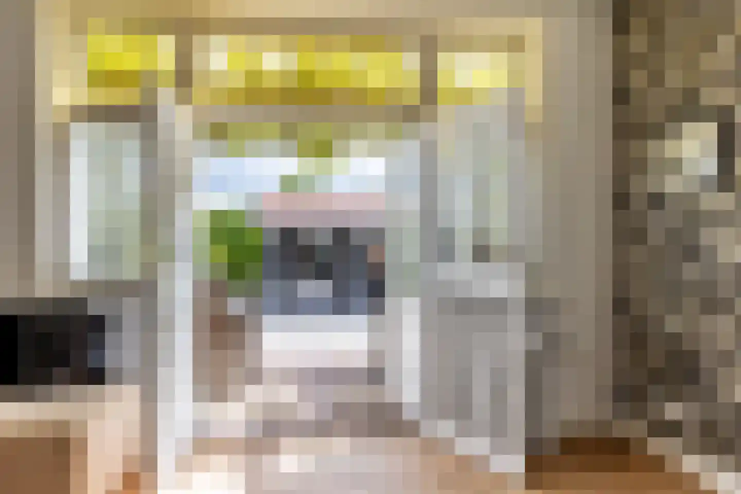 Dorpsweg 3 Rockanje thumbnail 15