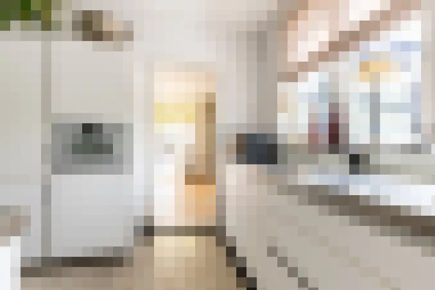 Dorpsweg 3 Rockanje thumbnail 18