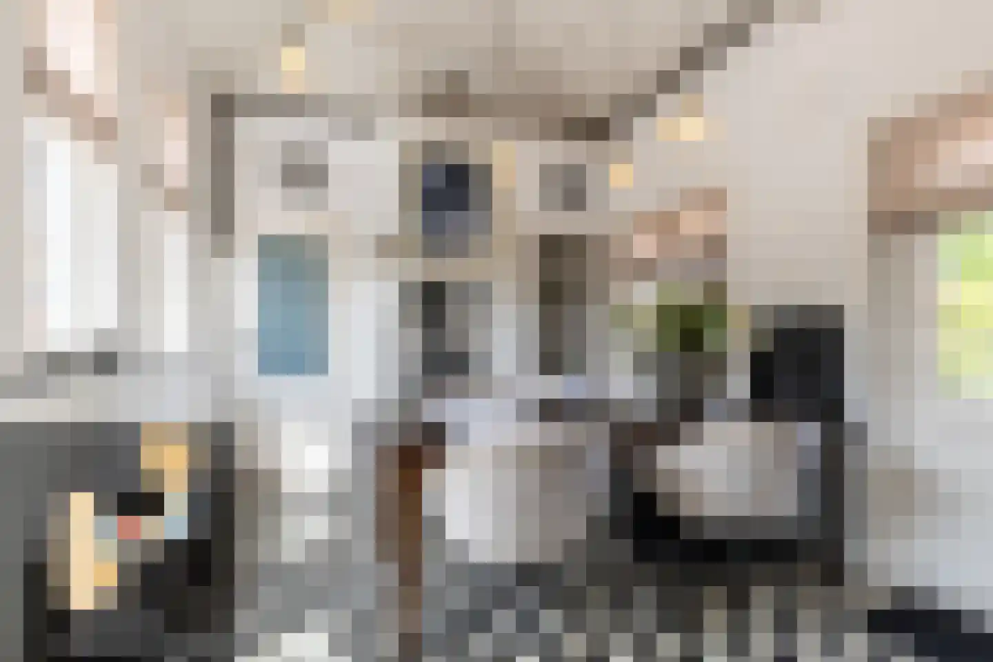 Dorpsweg 3 Rockanje thumbnail 20