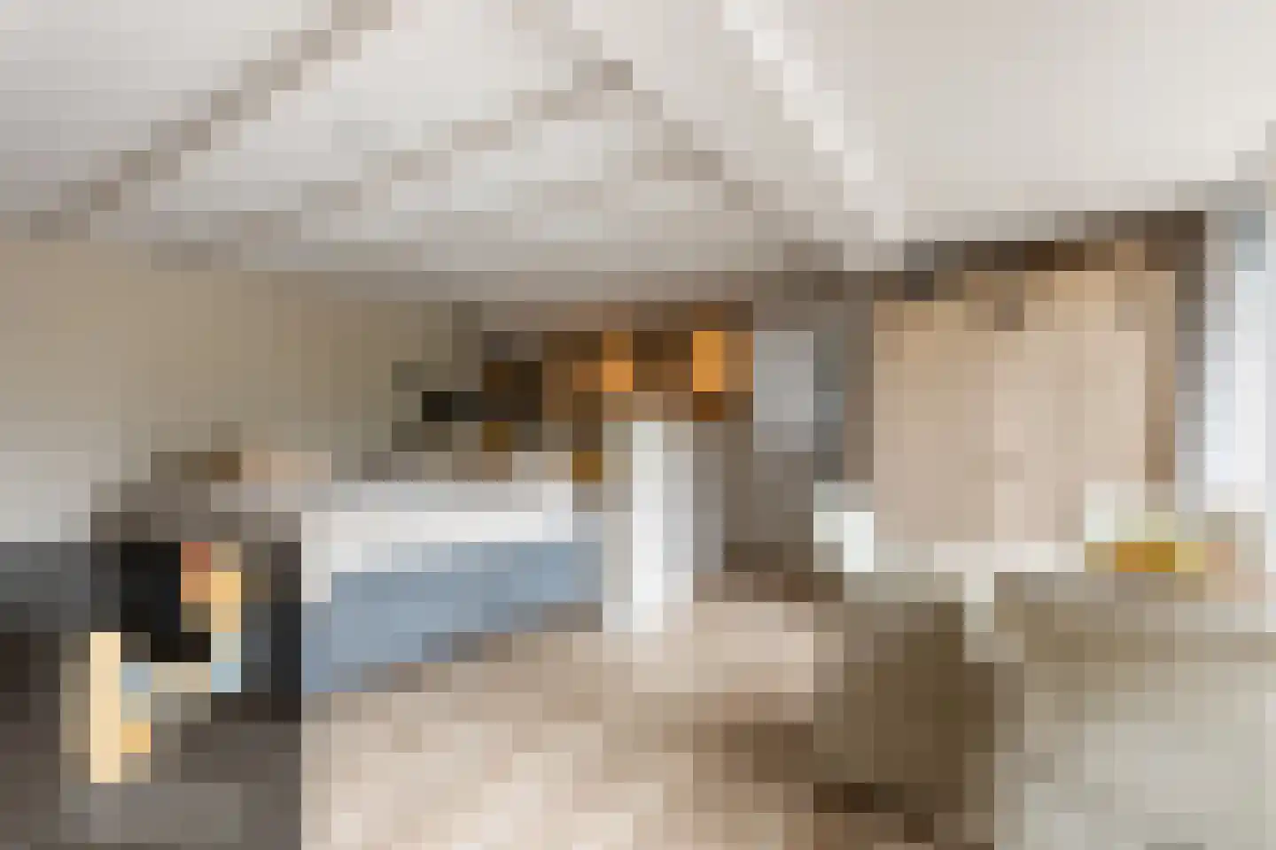 Dorpsweg 3 Rockanje thumbnail 24