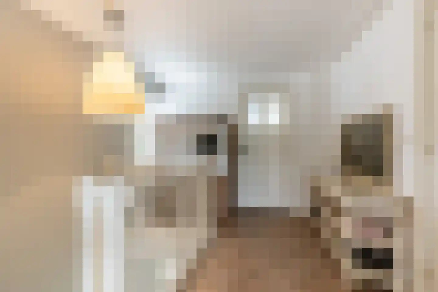 Dorpsweg 3 Rockanje thumbnail 33
