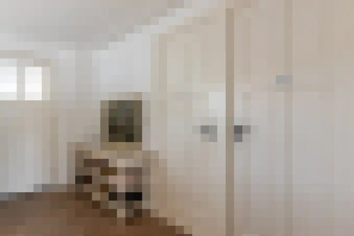 Dorpsweg 3 Rockanje thumbnail 34