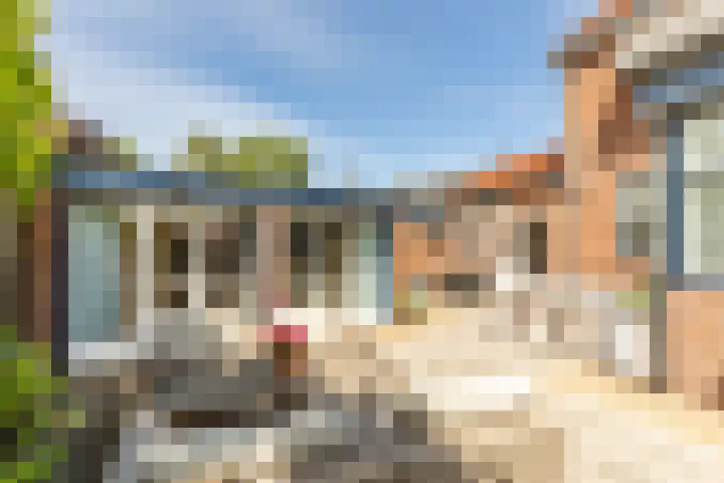 Dorpsweg 3 Rockanje thumbnail 42