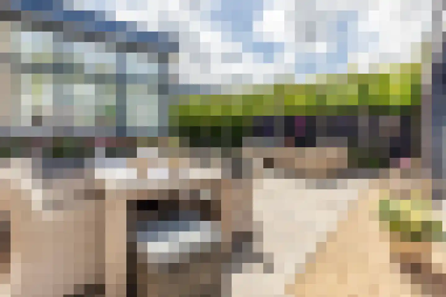 Dorpsweg 3 Rockanje thumbnail 44