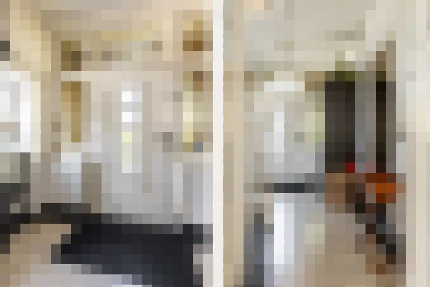 Dorpsweg 3 Rockanje thumbnail 8