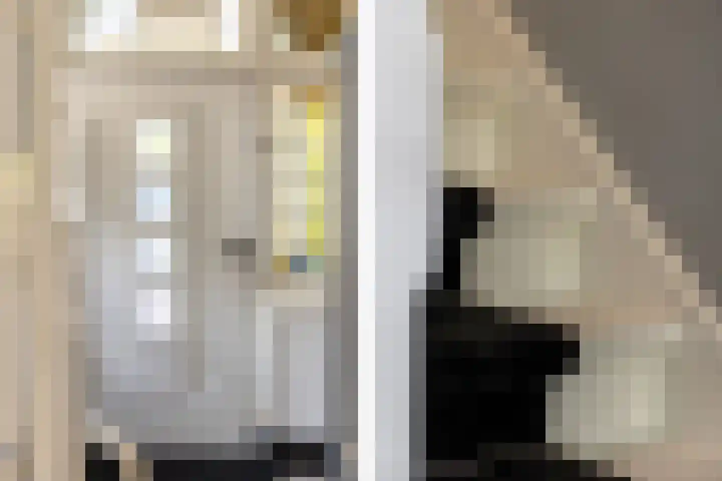 Dorpsweg 3 Rockanje thumbnail 9