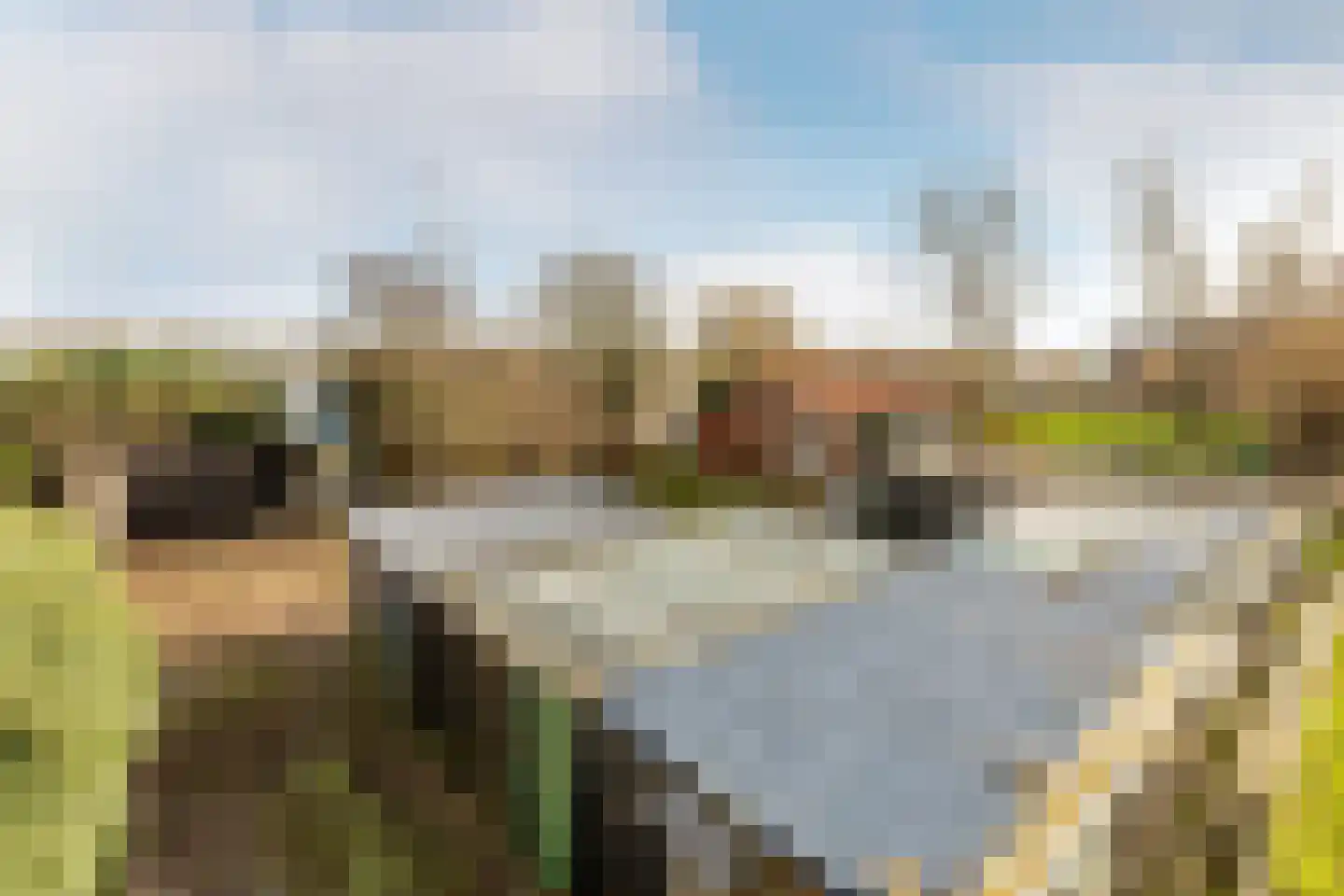 Dorpsweg 30 Ooltgensplaat thumbnail 15