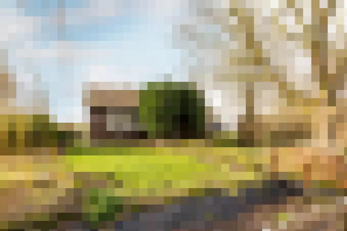 Dorpsweg 30 Ooltgensplaat thumbnail 6
