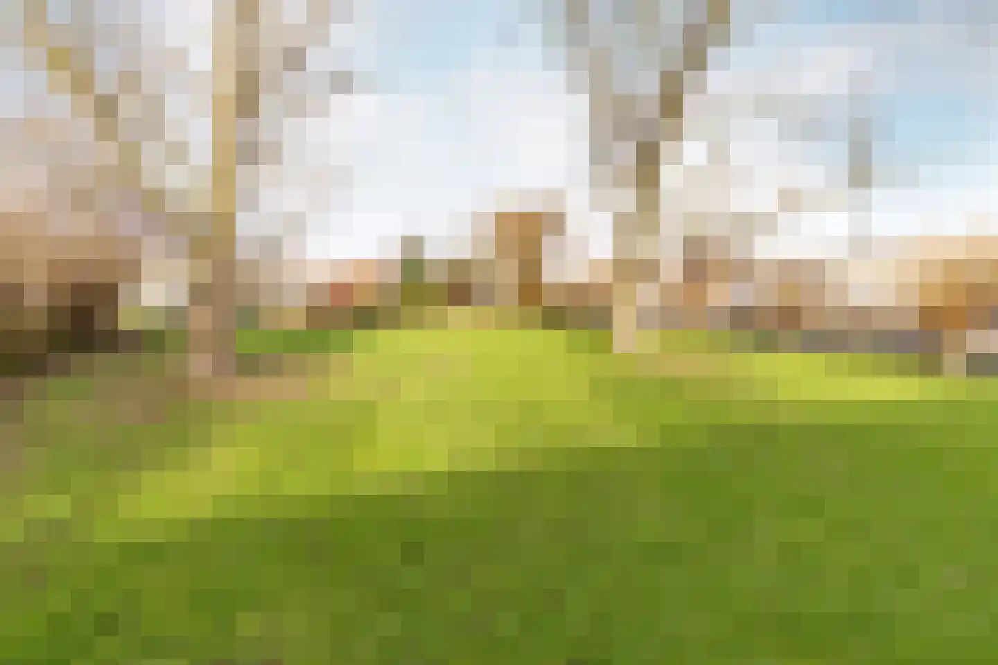 Dorpsweg 30 Ooltgensplaat thumbnail 7