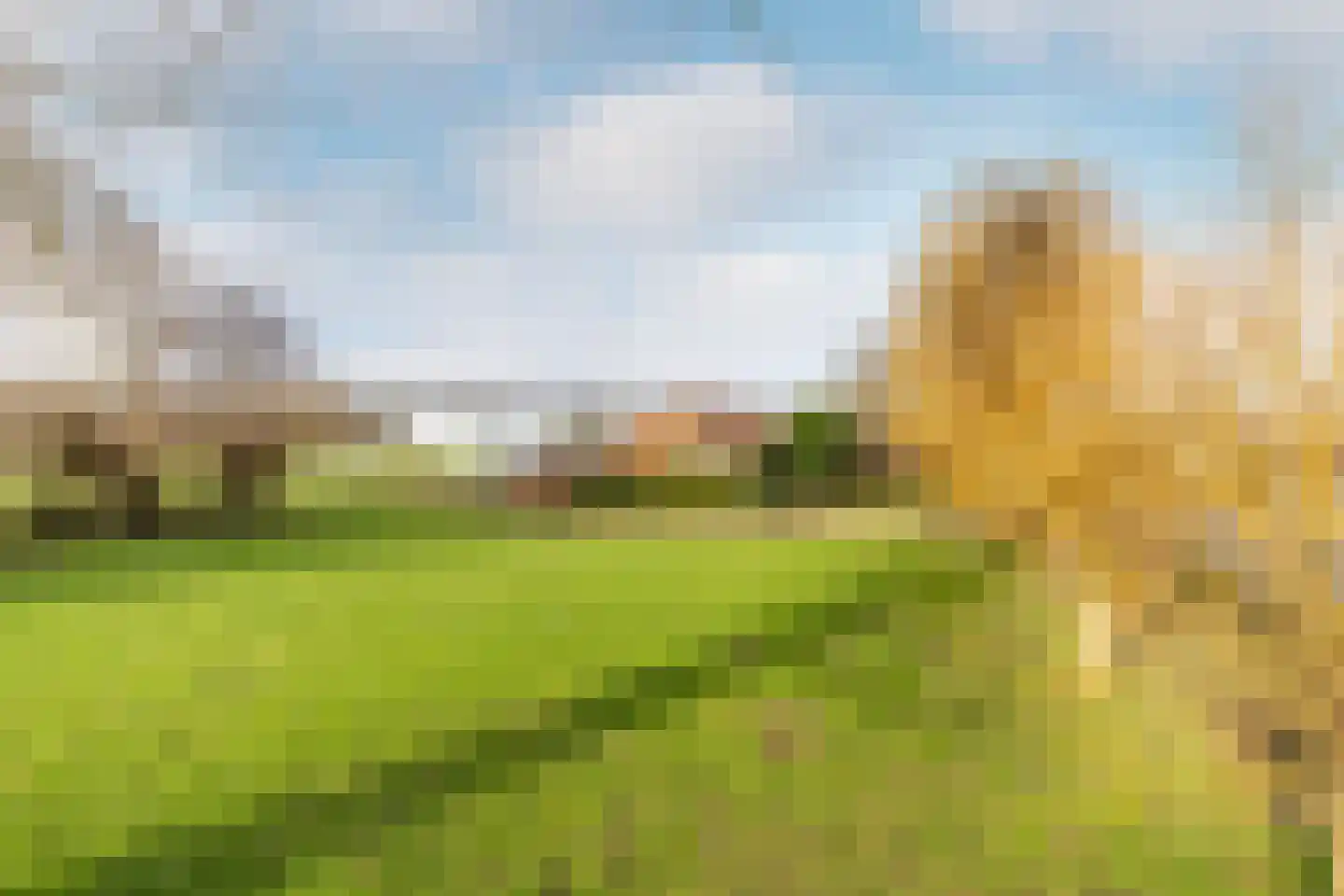 Dorpsweg 30 Ooltgensplaat thumbnail 8