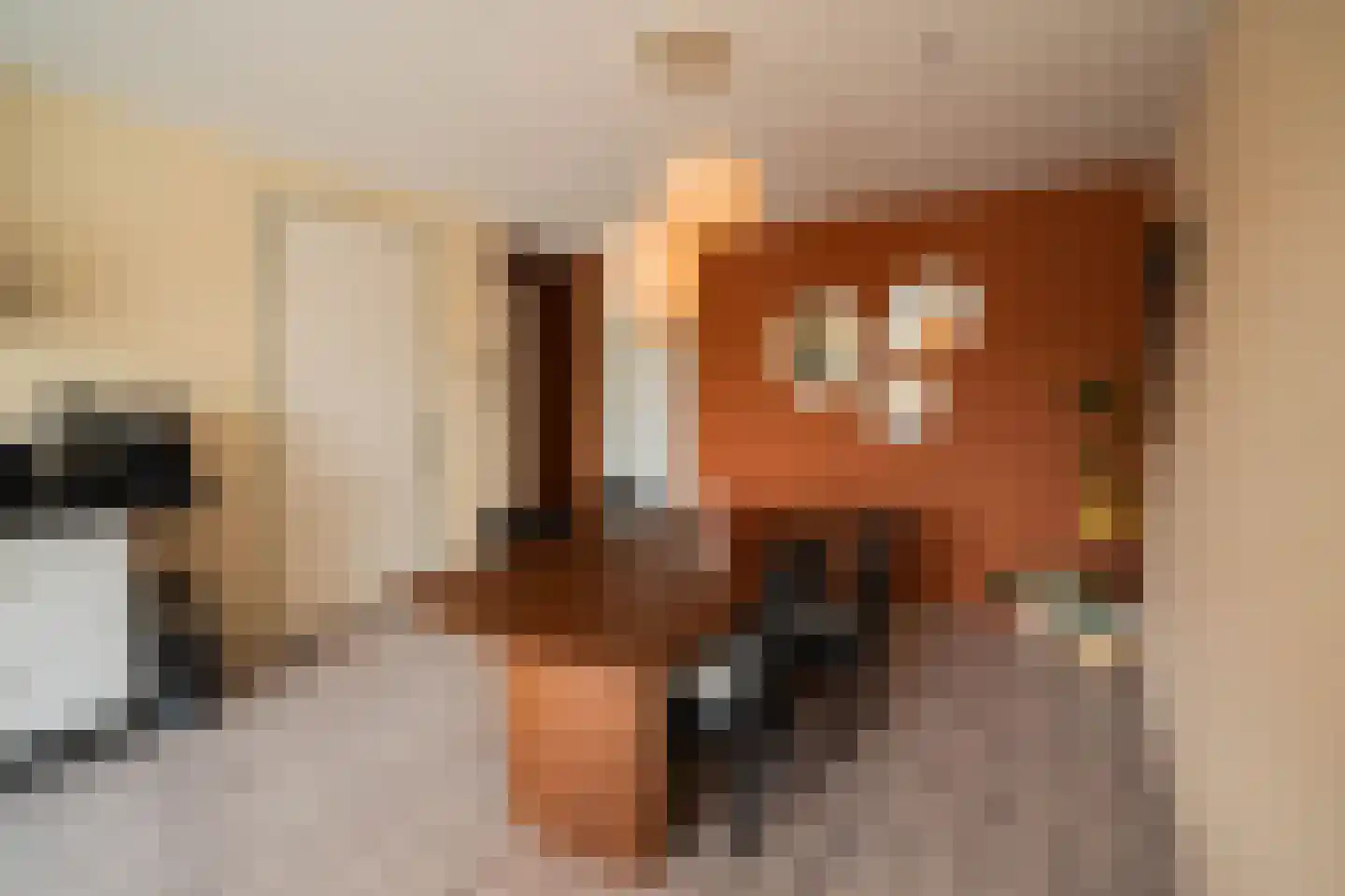 Dorpsweg 31 a Rockanje thumbnail 14