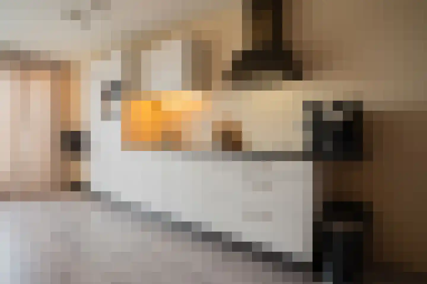 Dorpsweg 31 a Rockanje thumbnail 16