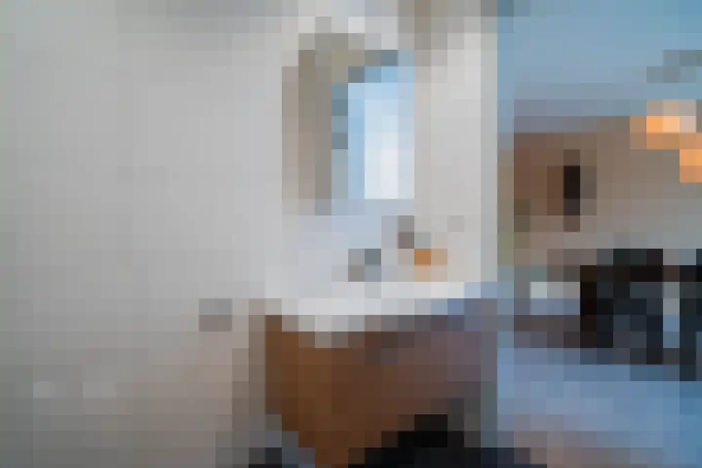Dorpsweg 31 a Rockanje thumbnail 19