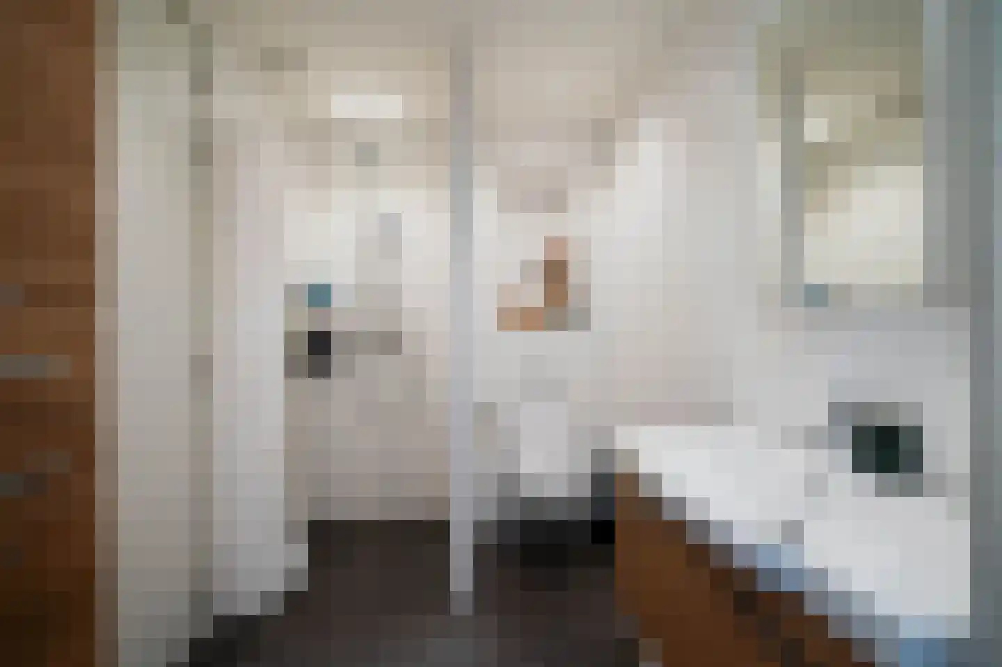 Dorpsweg 31 a Rockanje thumbnail 5