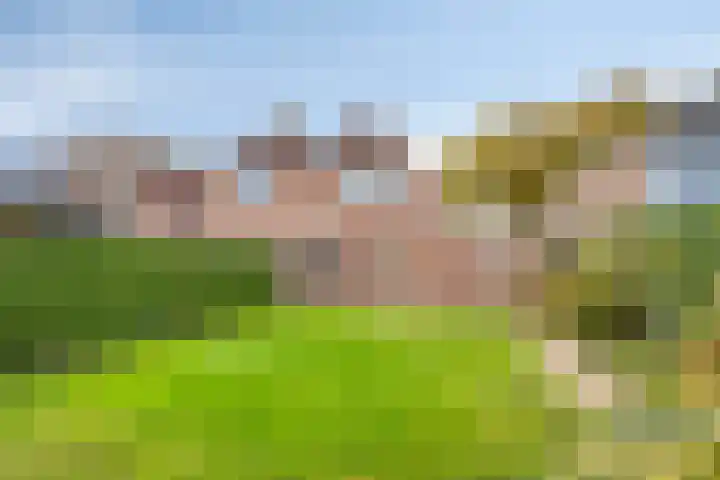 Dorpsweg 32 Onnen thumbnail 39