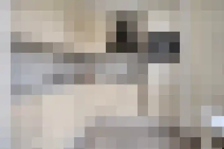 Dorpsweg 32 Onnen thumbnail 4