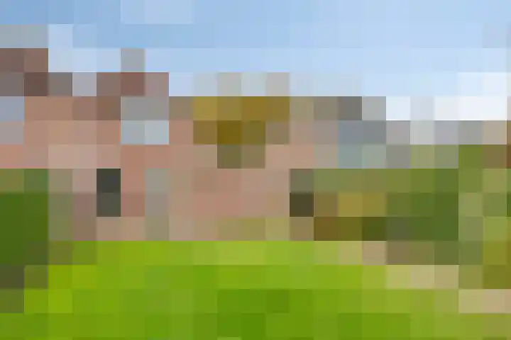 Dorpsweg 32 Onnen thumbnail 41