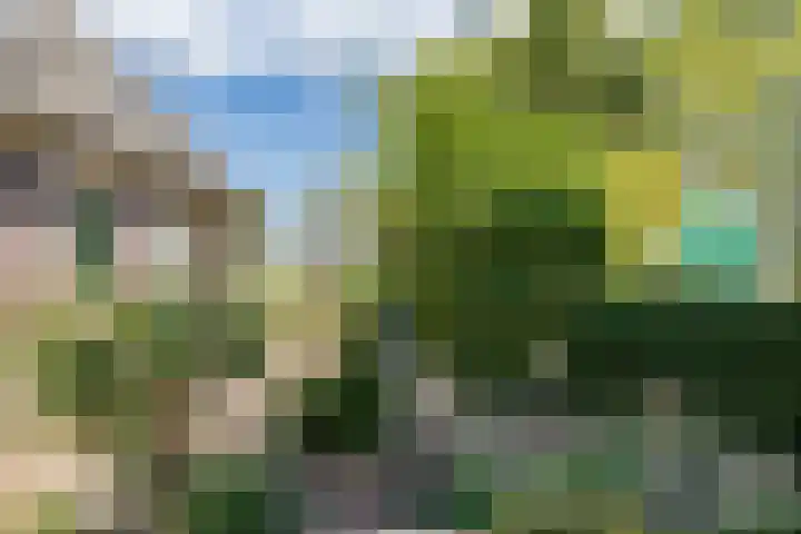 Dorpsweg 34 Oudendijk thumbnail 22