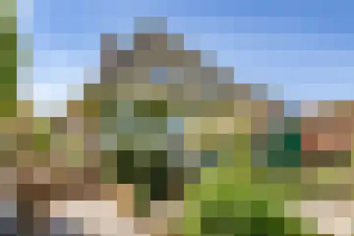 Dorpsweg 34 Oudendijk thumbnail 23