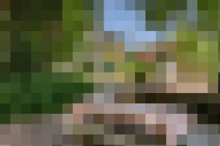 Dorpsweg 34 Oudendijk thumbnail 30