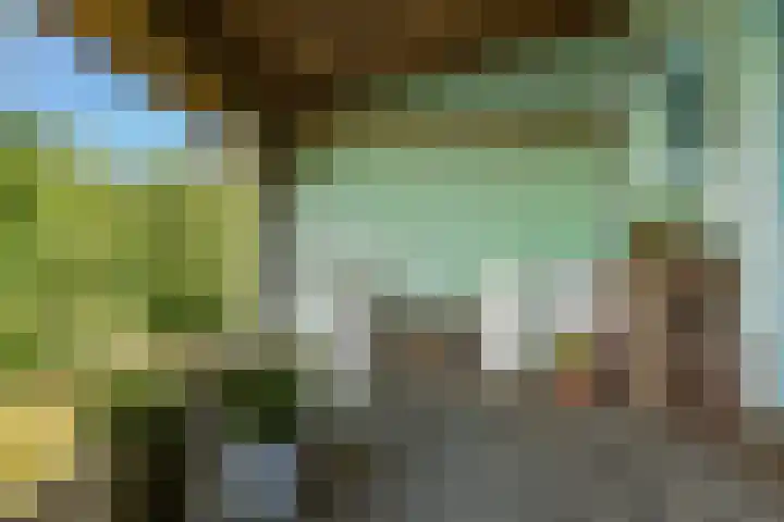 Dorpsweg 34 Oudendijk thumbnail 31