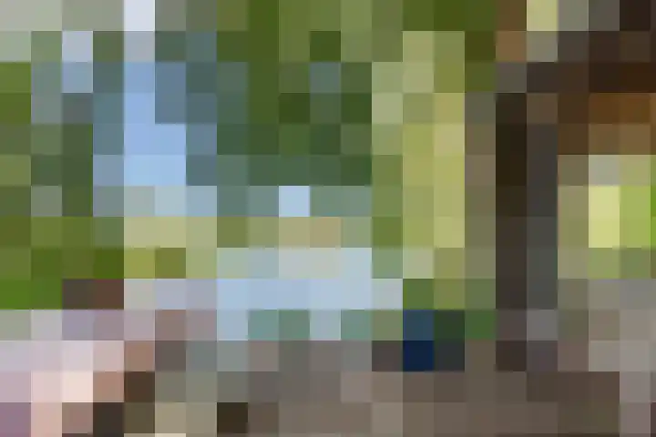 Dorpsweg 34 Oudendijk thumbnail 4