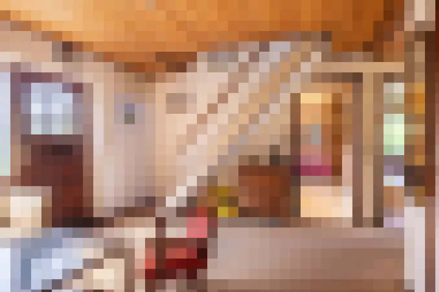 Dorpsweg 34 Wilsum thumbnail 10