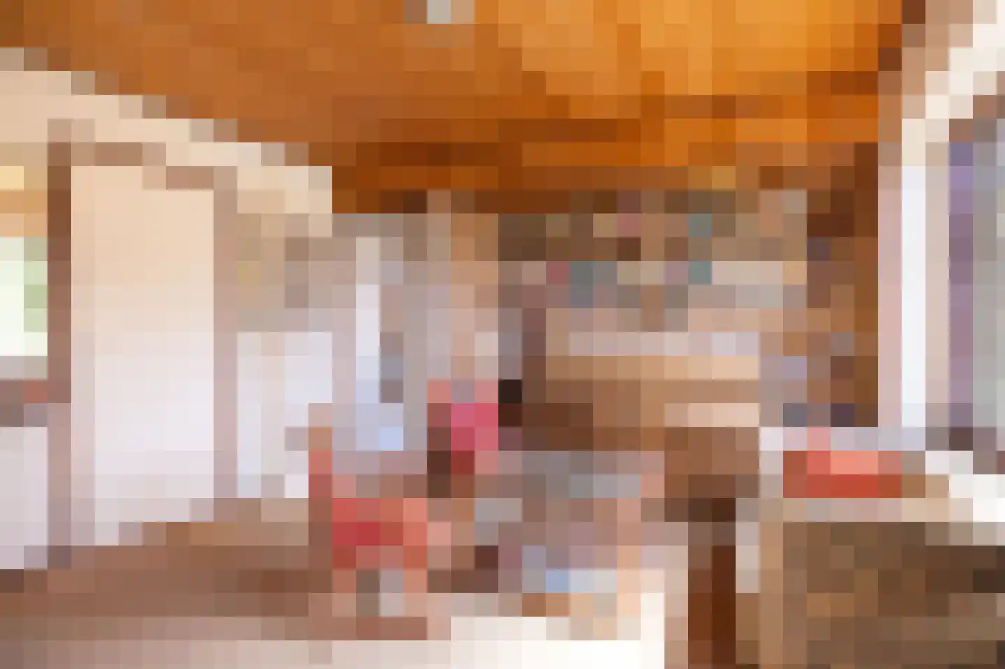 Dorpsweg 34 Wilsum thumbnail 11