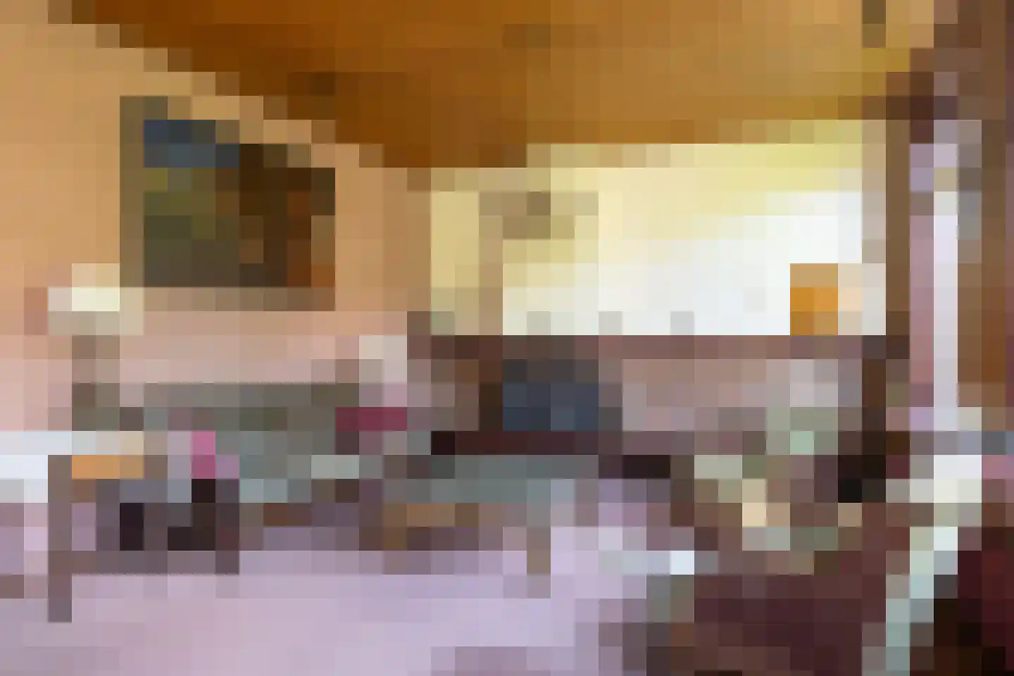 Dorpsweg 34 Wilsum thumbnail 15