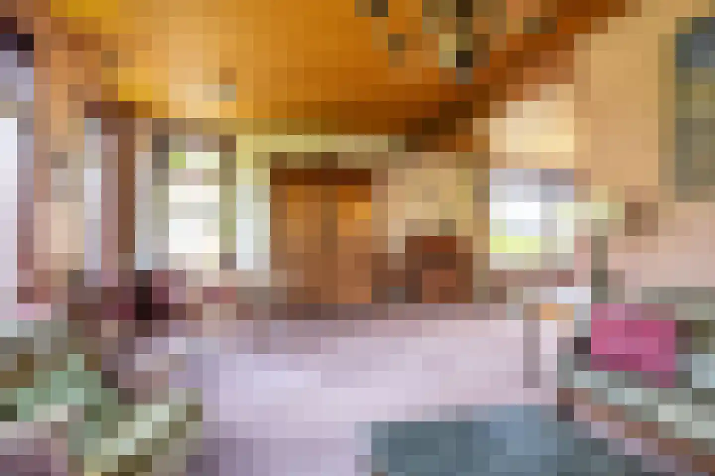 Dorpsweg 34 Wilsum thumbnail 16