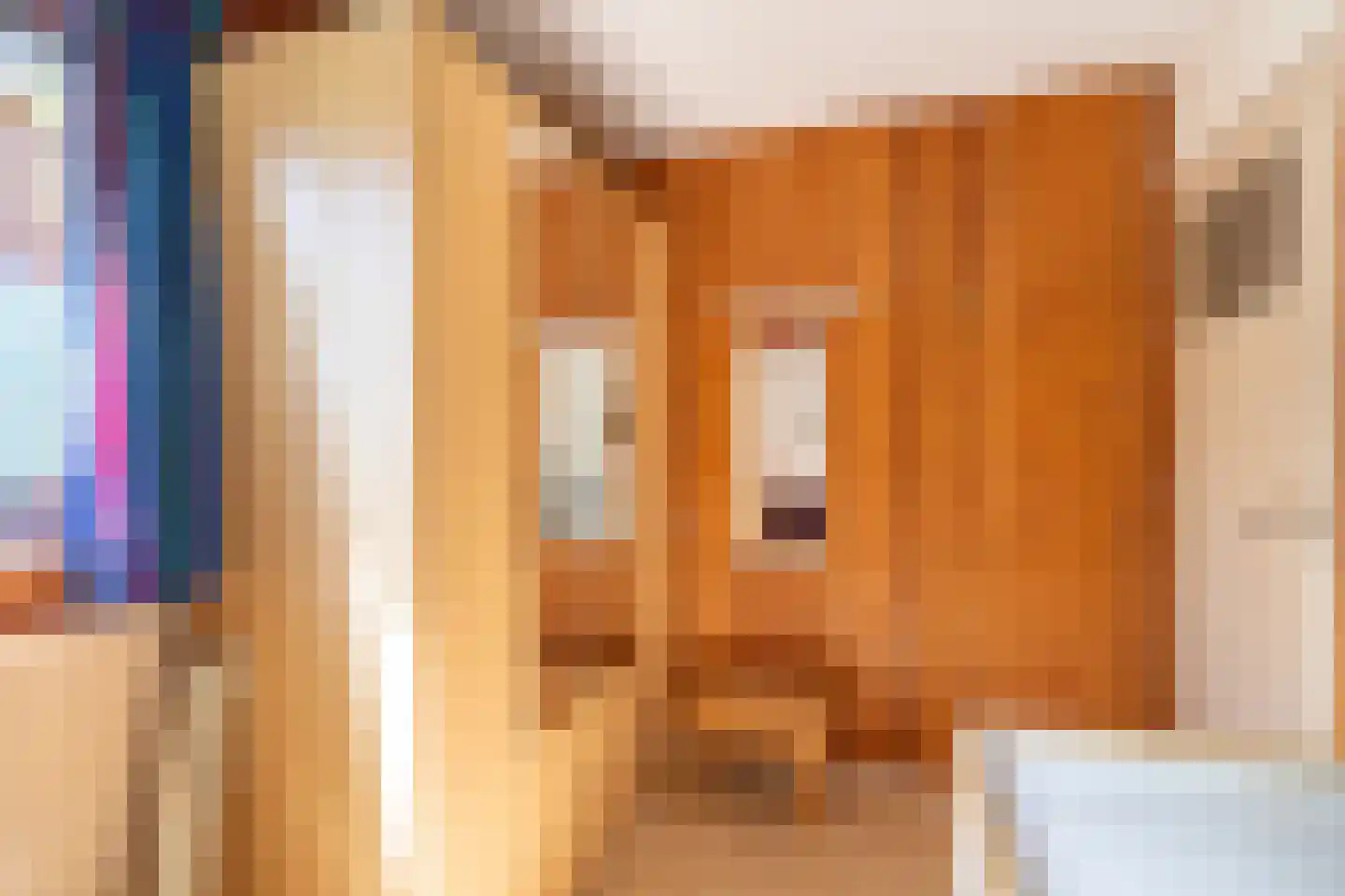 Dorpsweg 34 Wilsum thumbnail 24