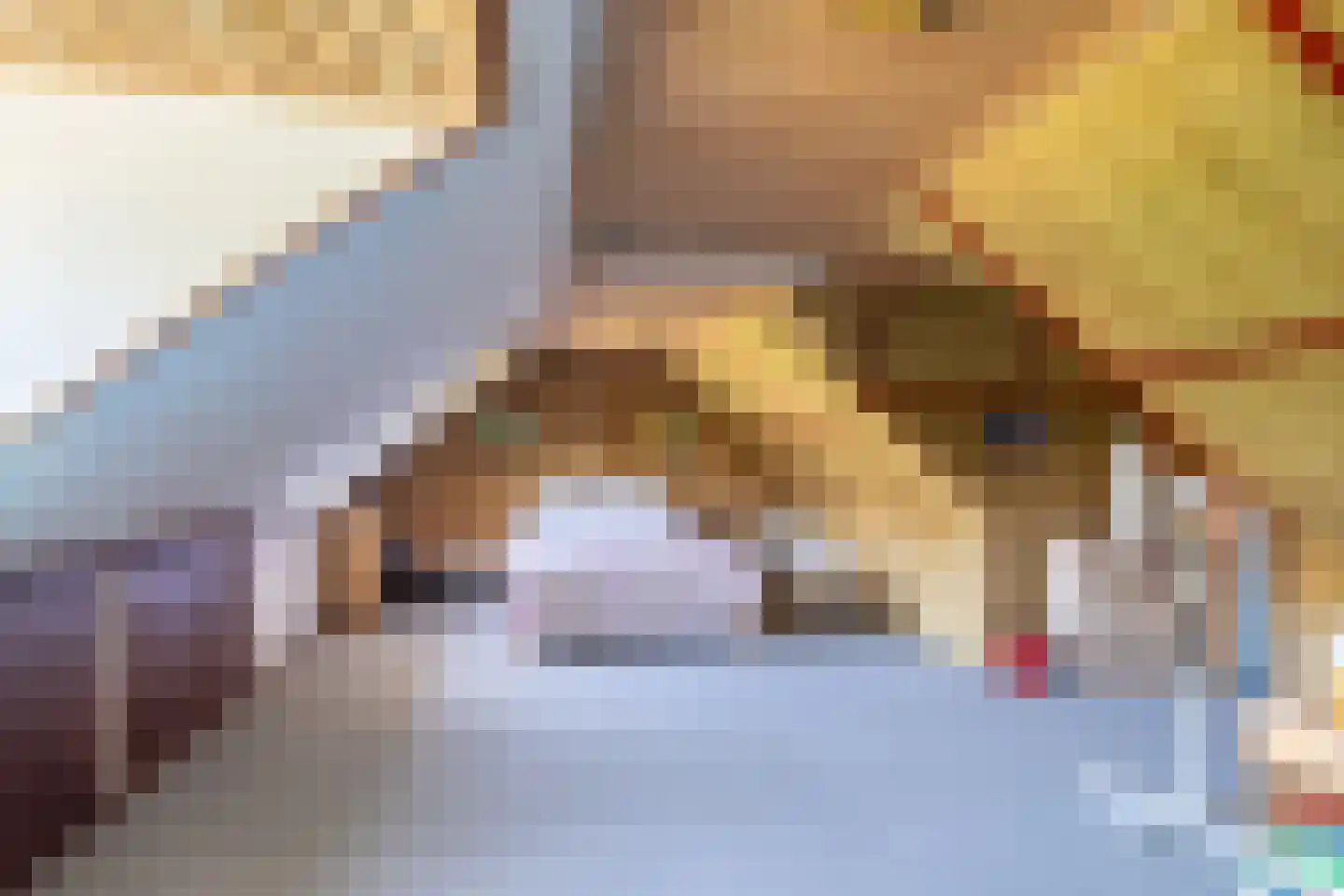 Dorpsweg 34 Wilsum thumbnail 35