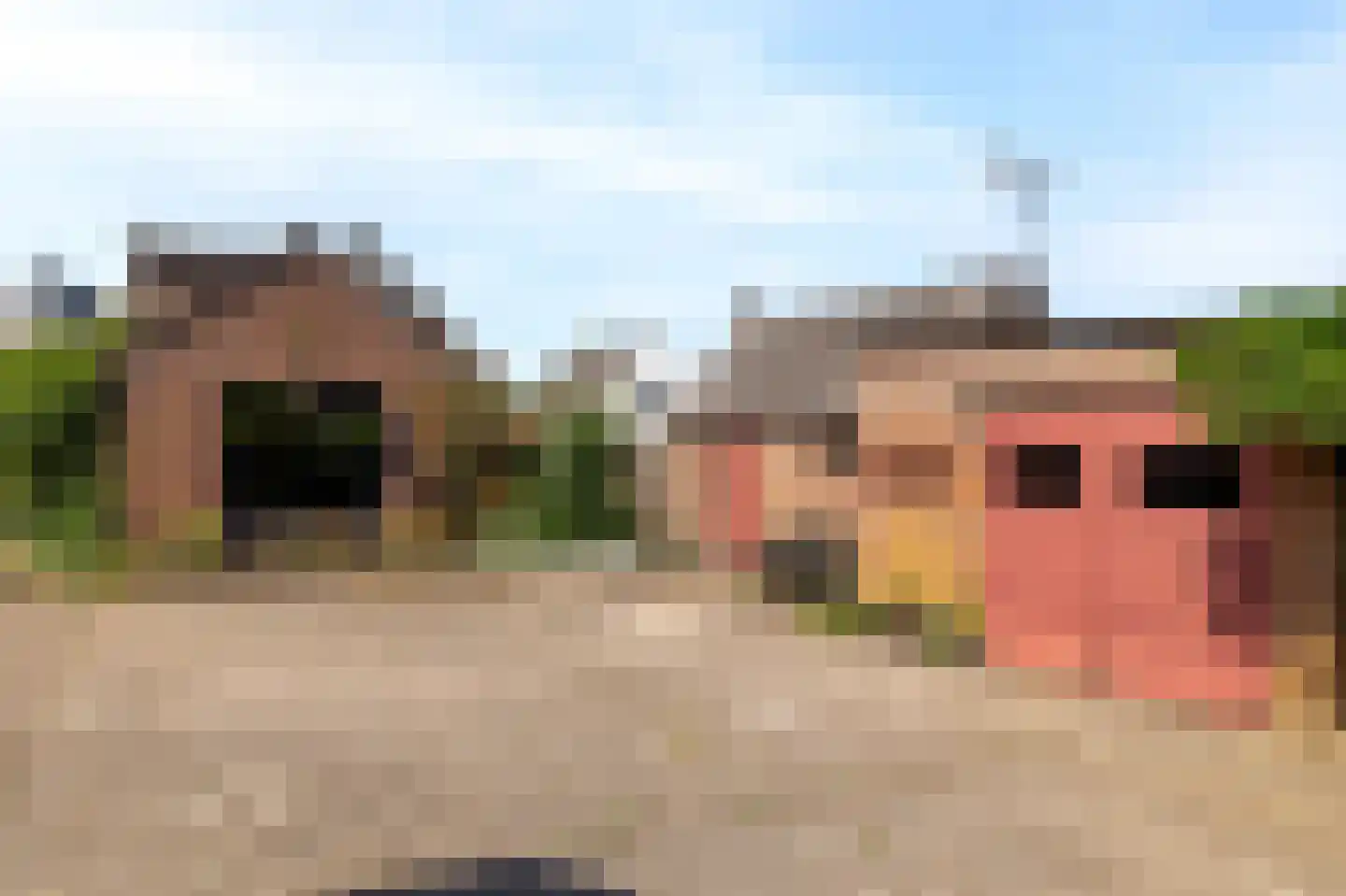 Dorpsweg 34 Wilsum thumbnail 40