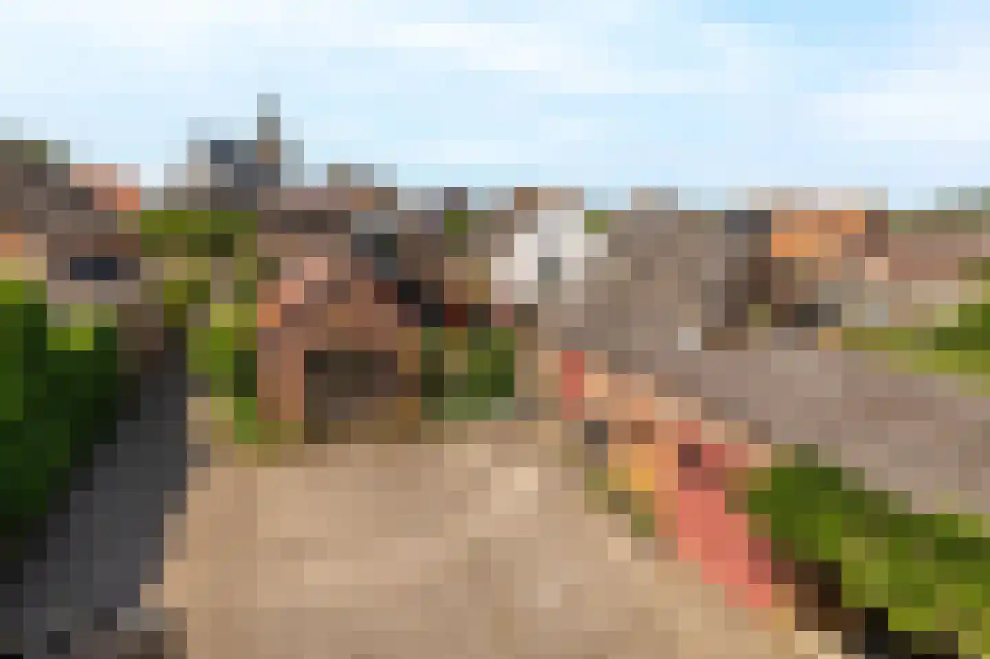 Dorpsweg 34 Wilsum thumbnail 41