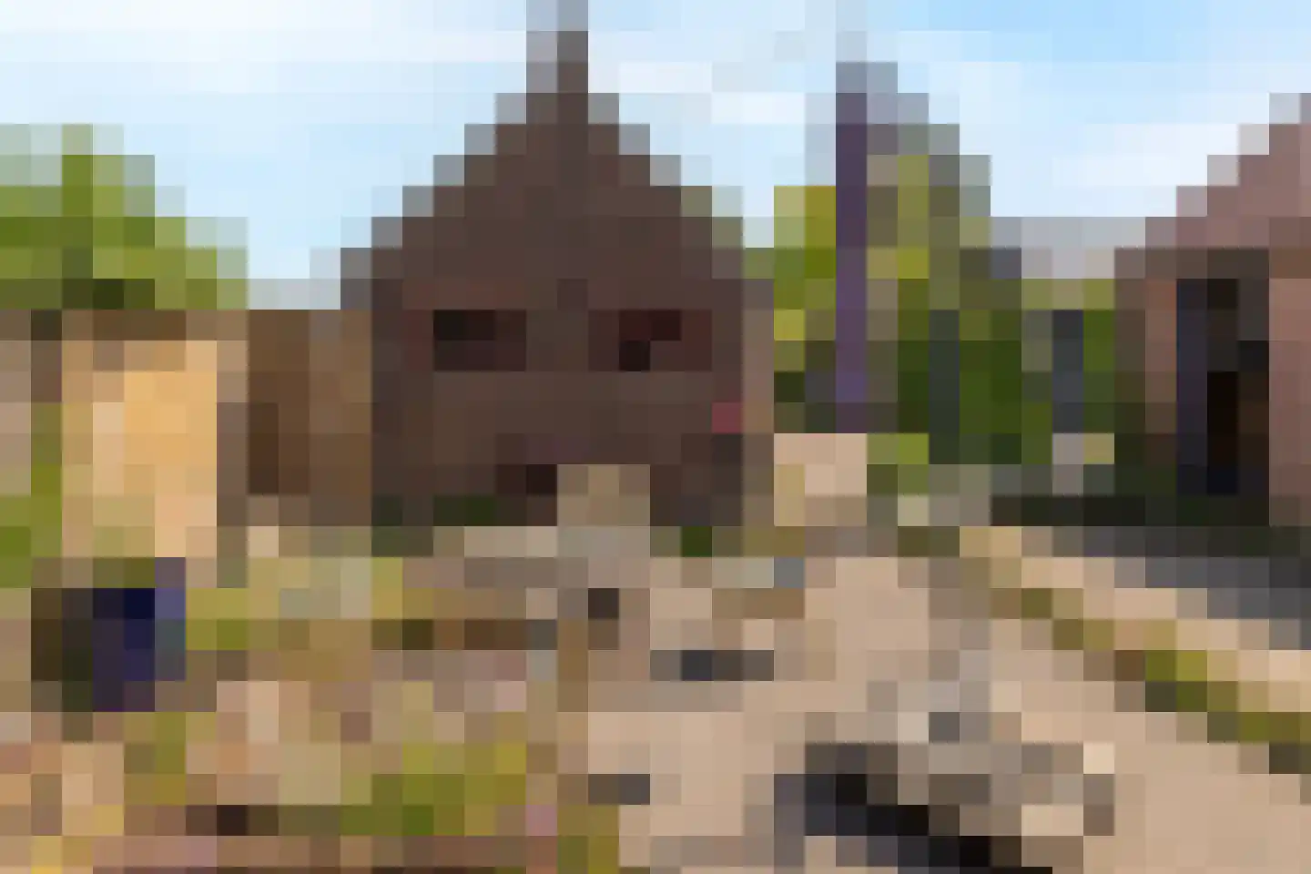 Dorpsweg 34 Wilsum thumbnail 44