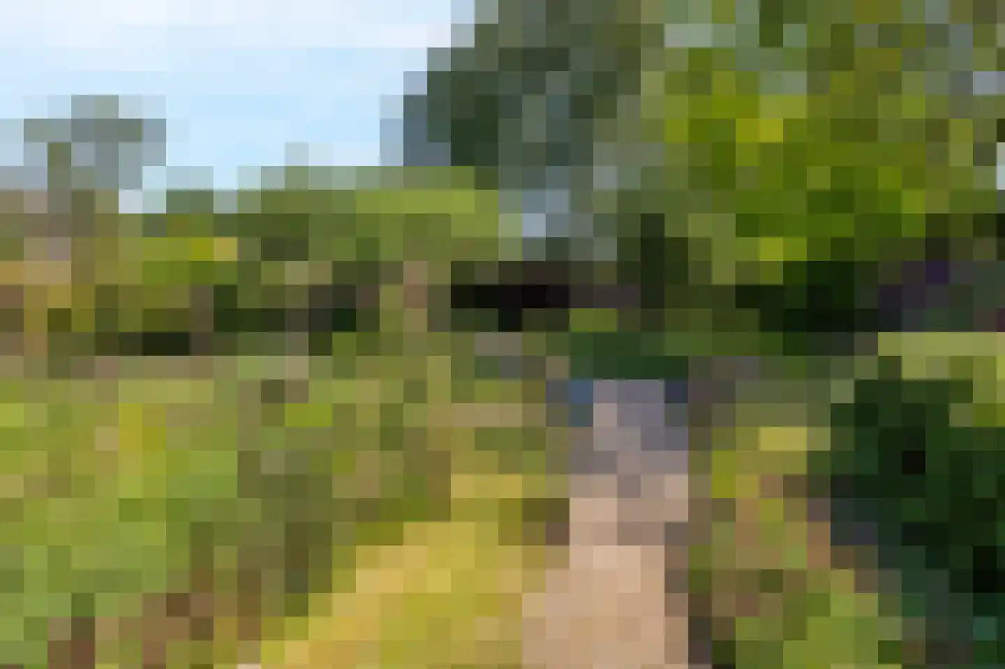 Dorpsweg 34 Wilsum thumbnail 48