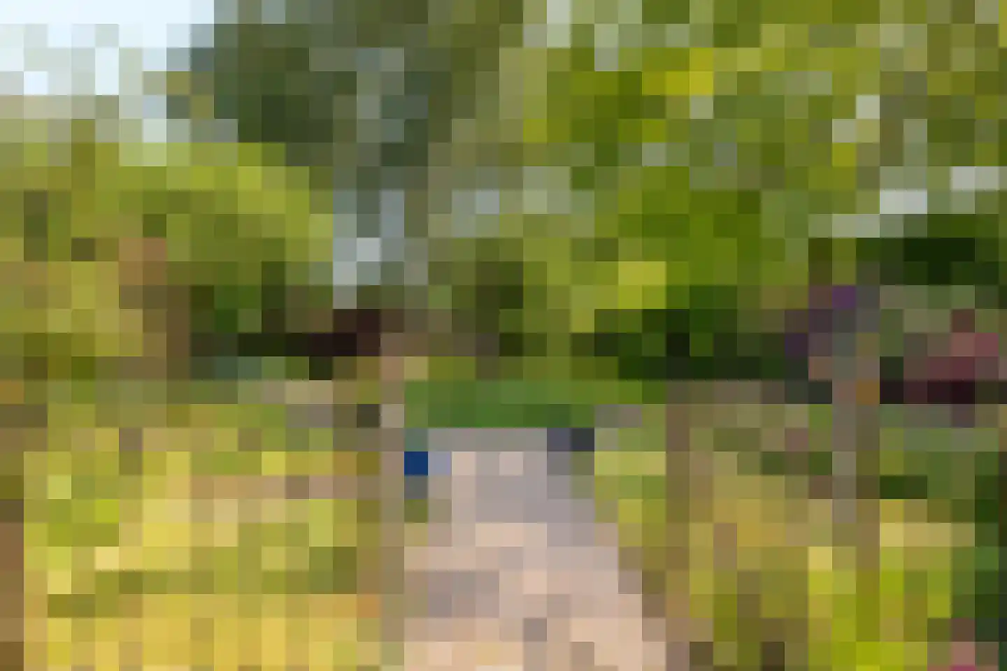 Dorpsweg 34 Wilsum thumbnail 49