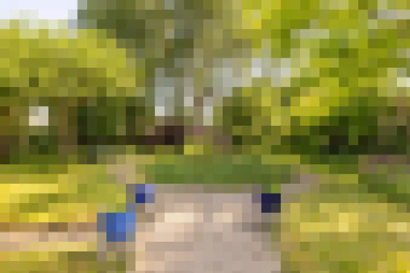 Dorpsweg 34 Wilsum thumbnail 51
