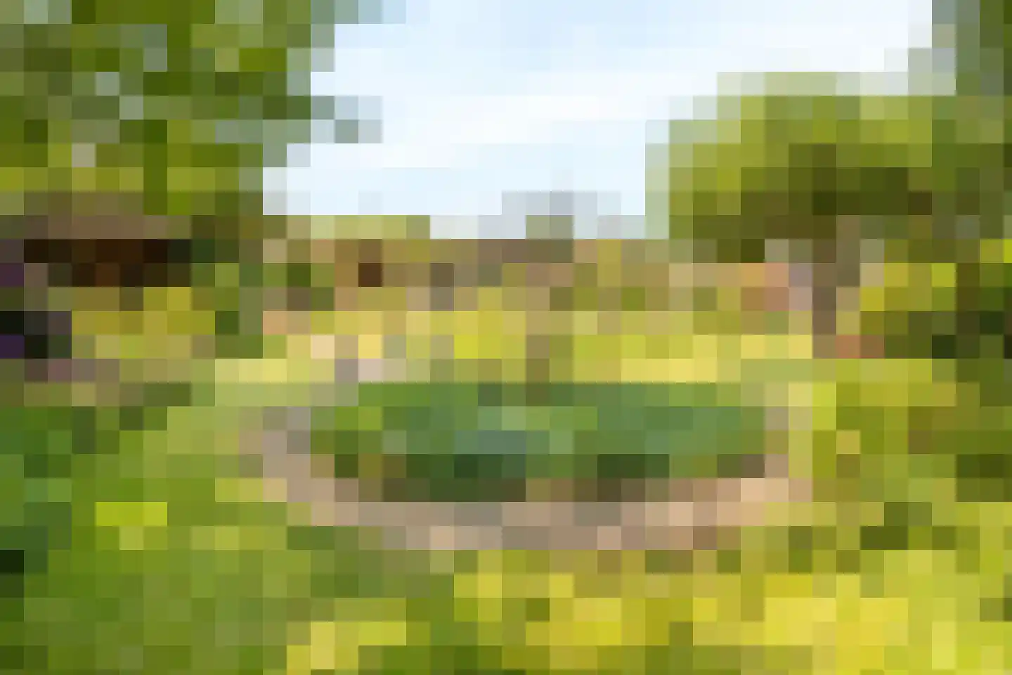 Dorpsweg 34 Wilsum thumbnail 52
