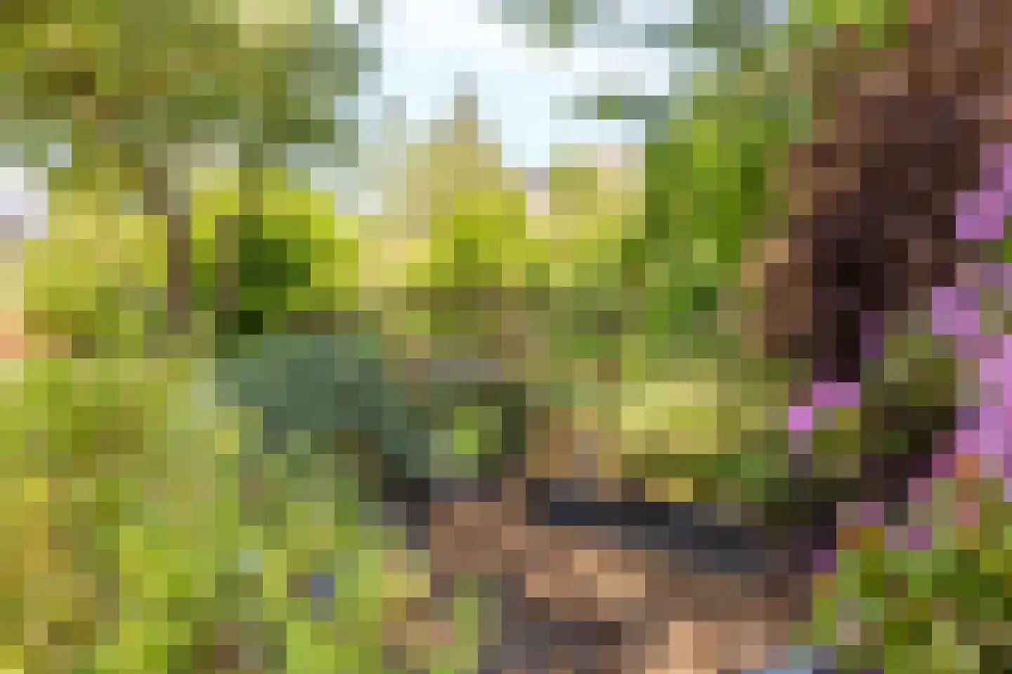Dorpsweg 34 Wilsum thumbnail 53