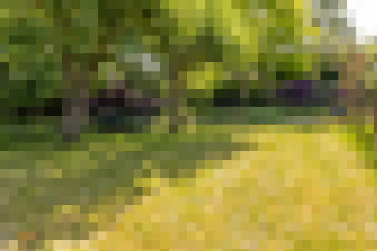 Dorpsweg 34 Wilsum thumbnail 54