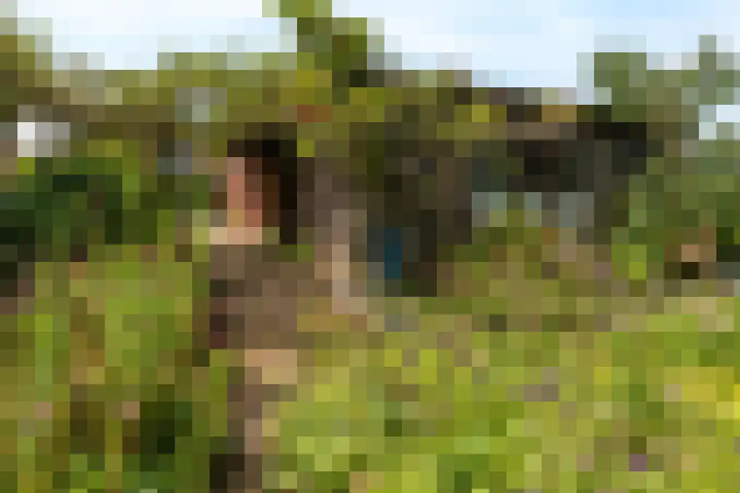 Dorpsweg 34 Wilsum thumbnail 55